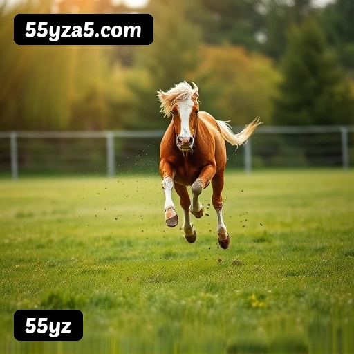 Grandes vencedores 55yz de São Paulo, Rio de Janeiro, Belo Horizonte - Saques PIX confirmados